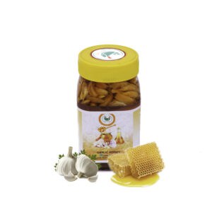 Fermented Garlic With Honey - Ayuryog