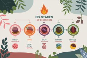 Digestion in Ayurveda