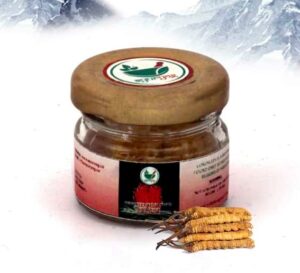 most significant benefits of Cordyceps Sinensis (Keeda Jadi Booti) is its ability to enhance the immune system.